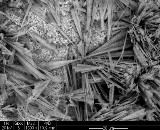 malachite SEM