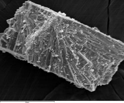 tenorite sem