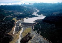 Toutle sediment retention structure