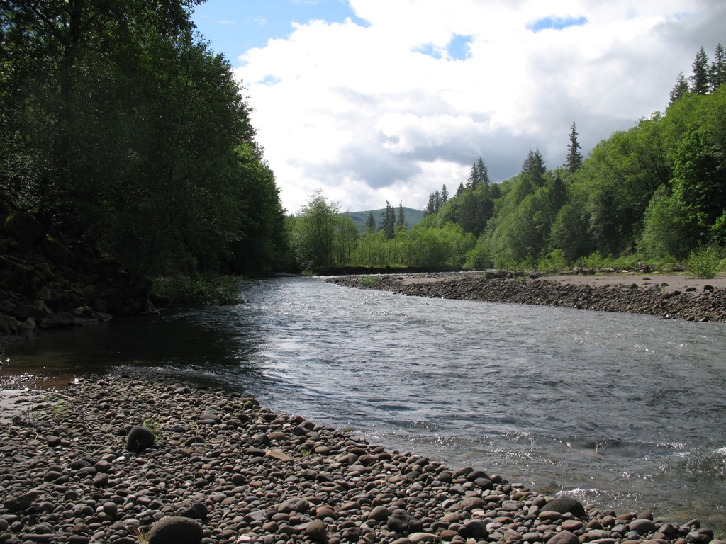 S Fork Toutle