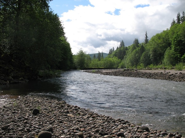 S Fork Toutle