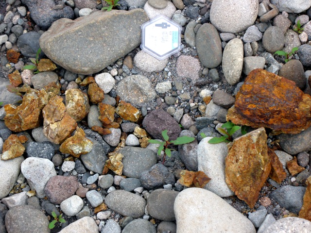 hydrothermal clast